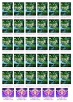 P��RODA V PRAV�M SV�T�