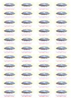 PLEJ�DSK� VESM�RN� LO� (5)